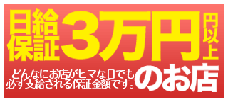 日給保証30,000円以上